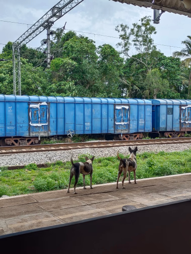 Photography - Mulki Station, Karnataka